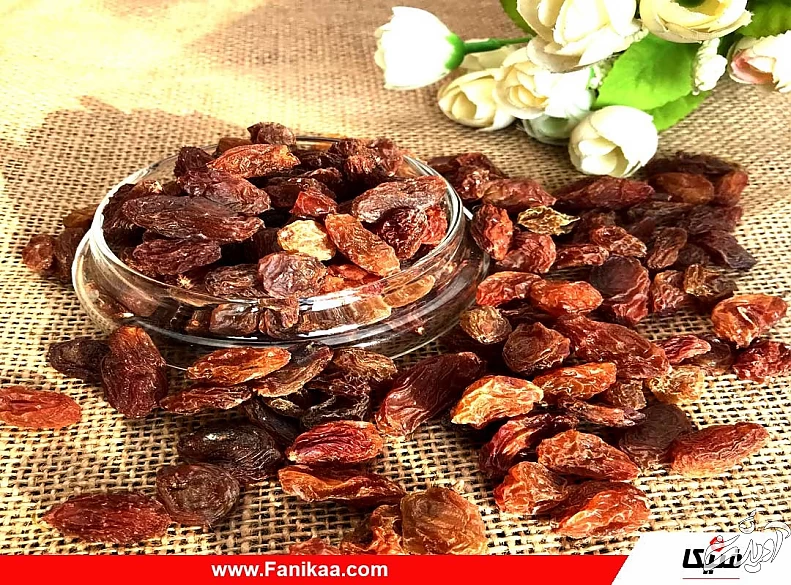 آموزش تولید و پرورش انواع کشمش به روش سنتی و در محل تاکستان